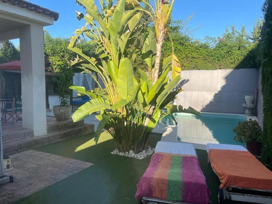 Atuaire Home Sevilla Mairena del Aljarafe Extérieur photo