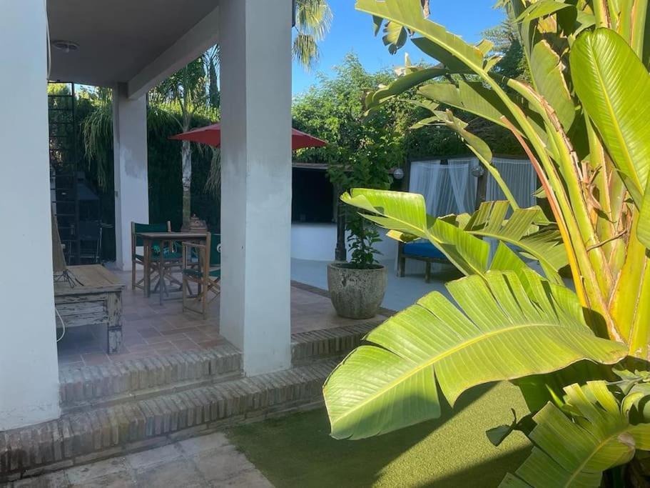 Atuaire Home Sevilla Mairena del Aljarafe Extérieur photo